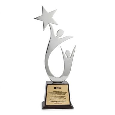 British Council Platinum Category Award 2020
